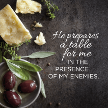 Psalms Study Week 19