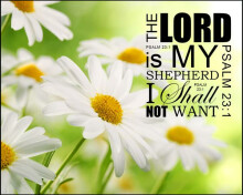 Psalms Study Week 15