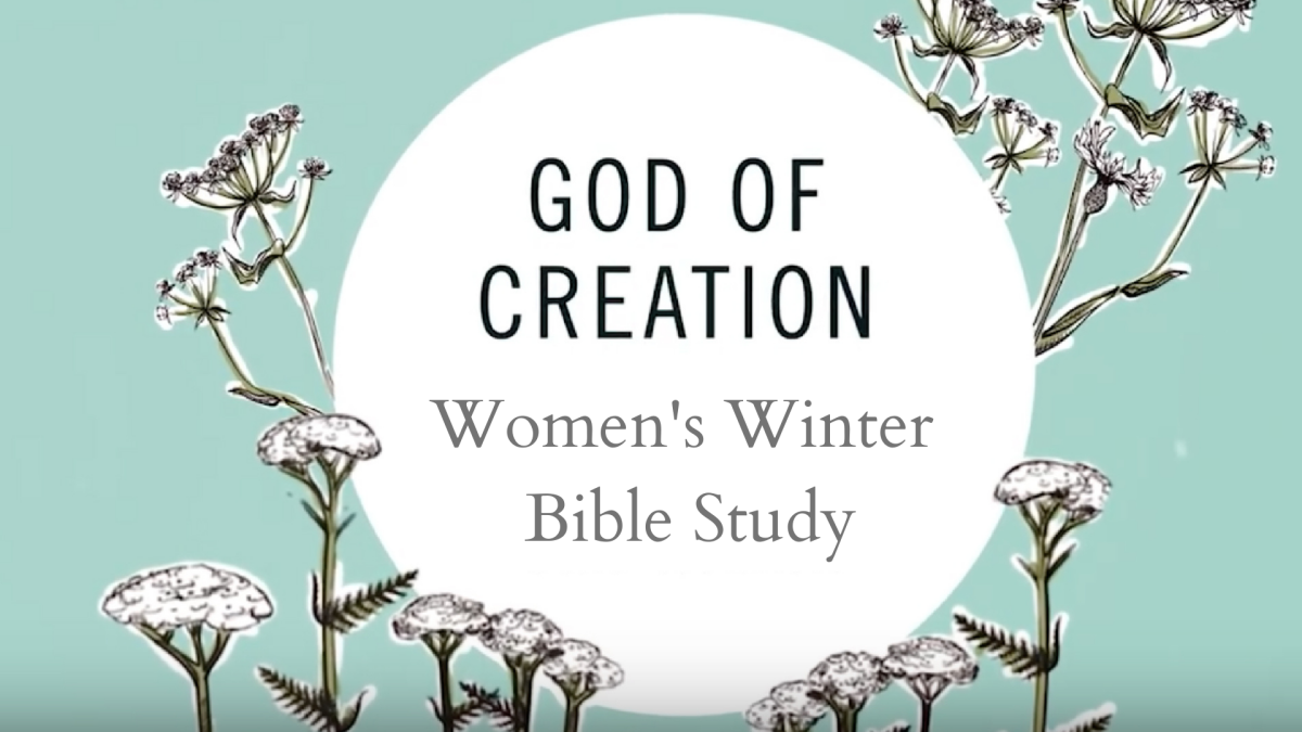 Women's Winter Bible Study