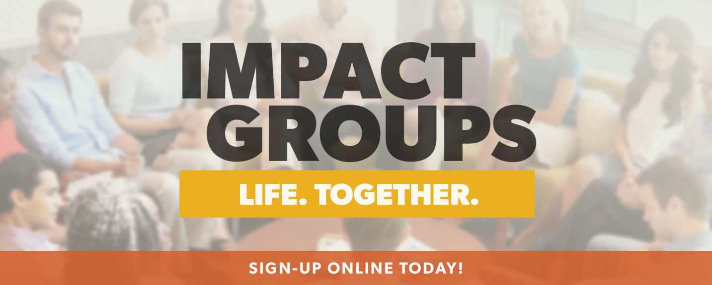 IMPACT GROUP