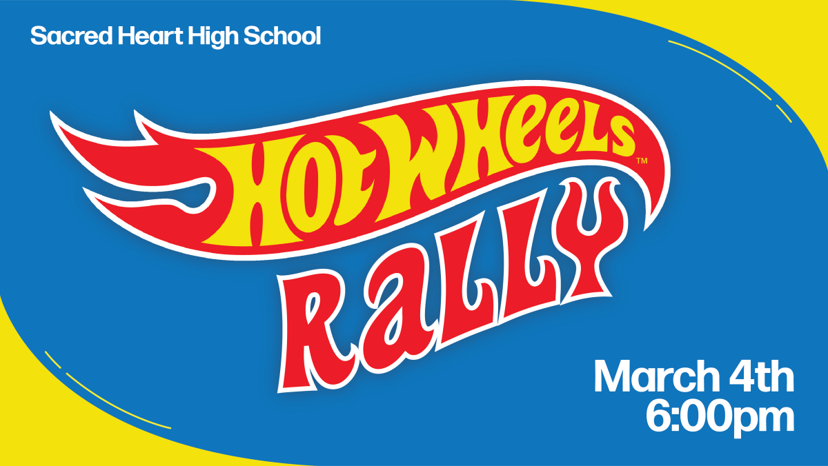 Hot Wheels Rally 