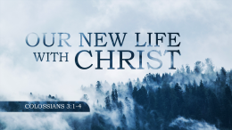 Our New Life with Christ