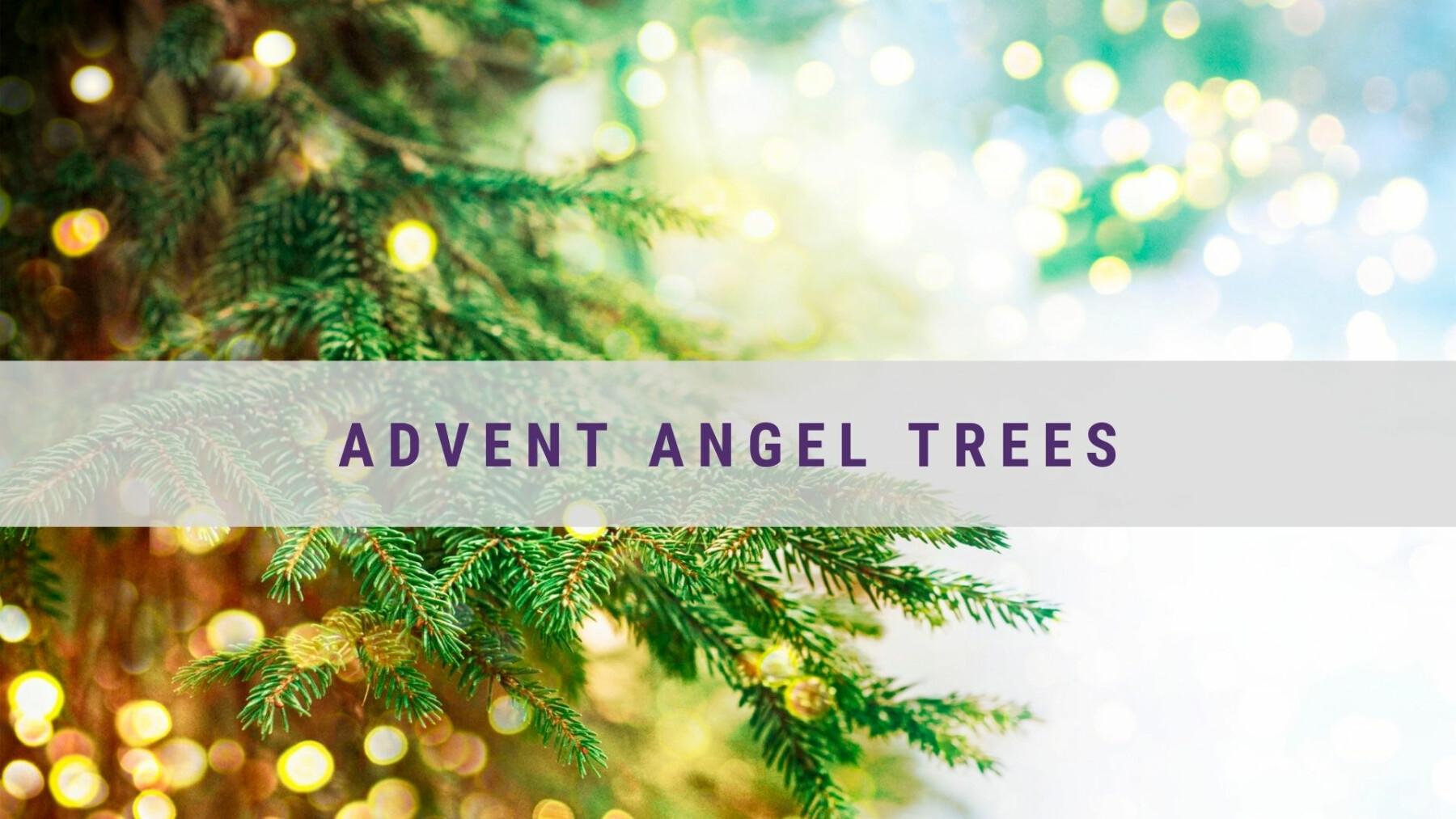 Advent Angel Trees
