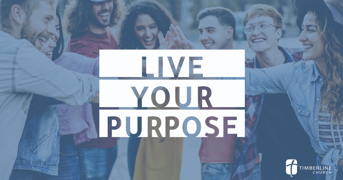 Live Your Purpose | Sermons | Timberline Church