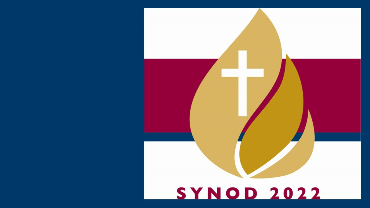 We Held a Synod - Now What?