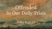 Offended in Our Daily Trials- Doctor Matt Brady
