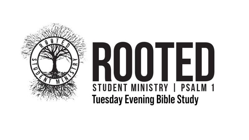Rooted Bible Study