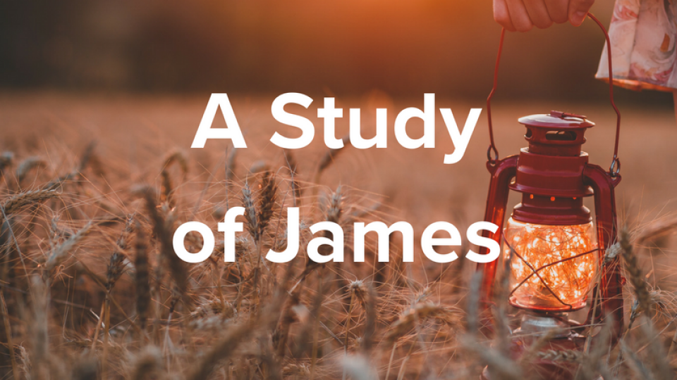Women: Morning Rays - A Study of James
