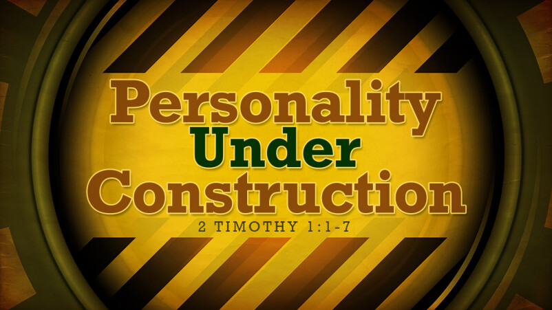 Personality Under Construction