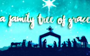 Sunday Bulletin, December 20, 2015