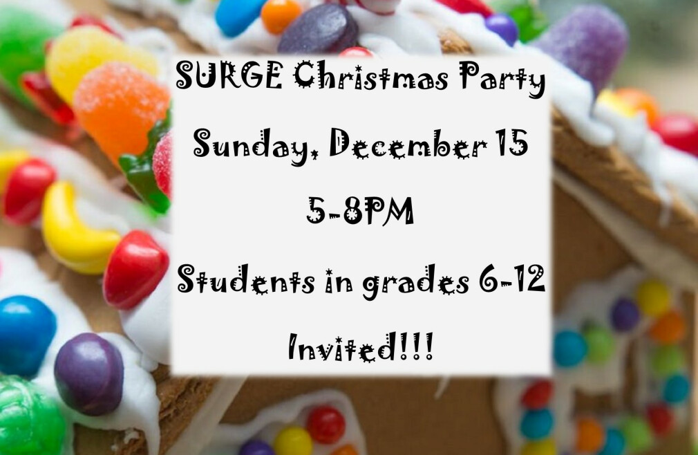 SURGE Christmas Party