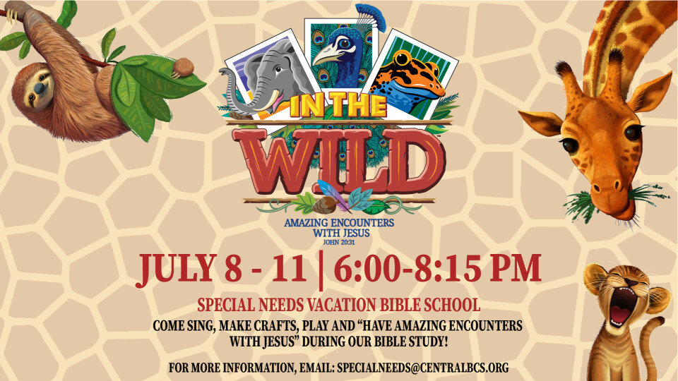 Special Needs VBS