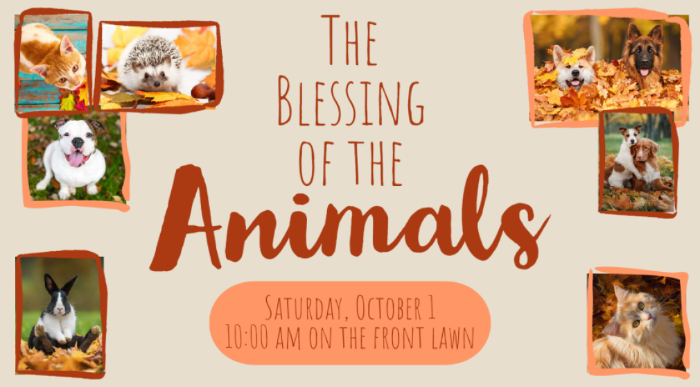 The Blessing of the Animals: October 1
