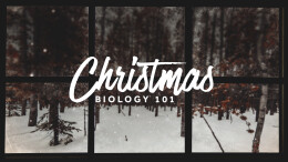 Christmas Biology 101