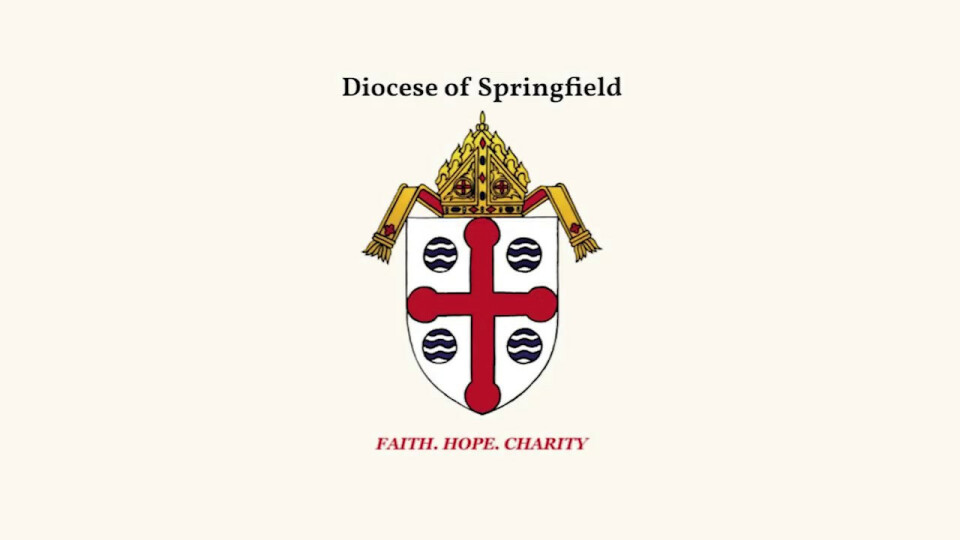 Diocese of Springfield contracts with Stop It Now!