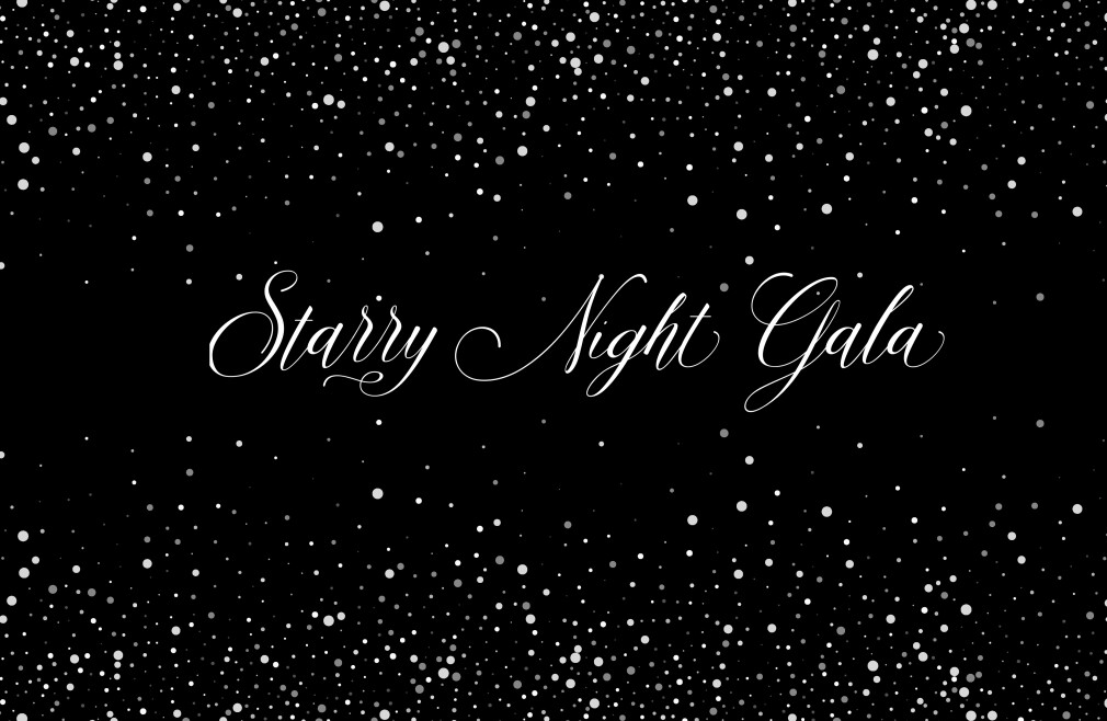 2021 Starry Night Gala