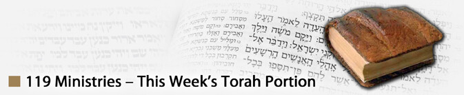 Torah Portion