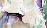 Meredith Barineau Gallery (3)