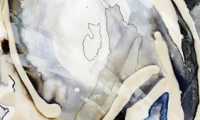 Meredith Barineau Gallery (6)