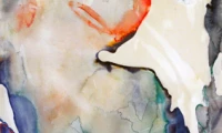 Meredith Barineau Gallery (9)