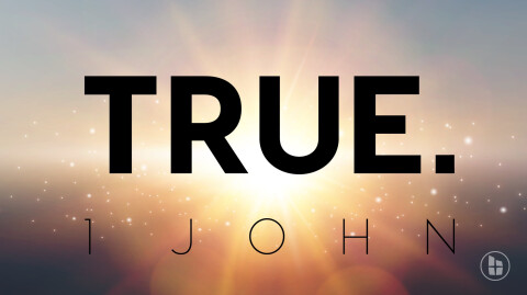 "1 John TRUE" 2/6