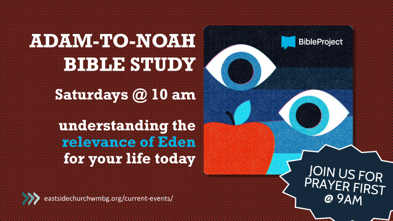Adam to Noah Bible Study
