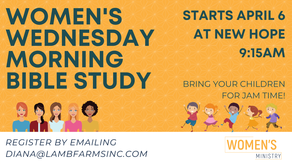 Women's Wednesday Morning Bible Study