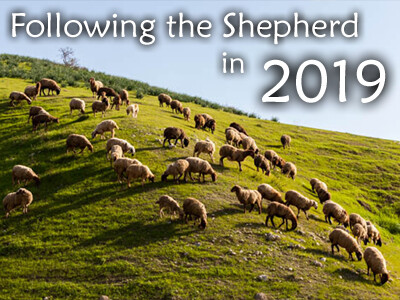 Following The Shepherd in 2019