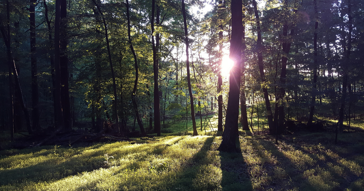 Contact Us Gretna Glen Camp & Retreat Center