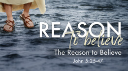 The Reason to Believe
