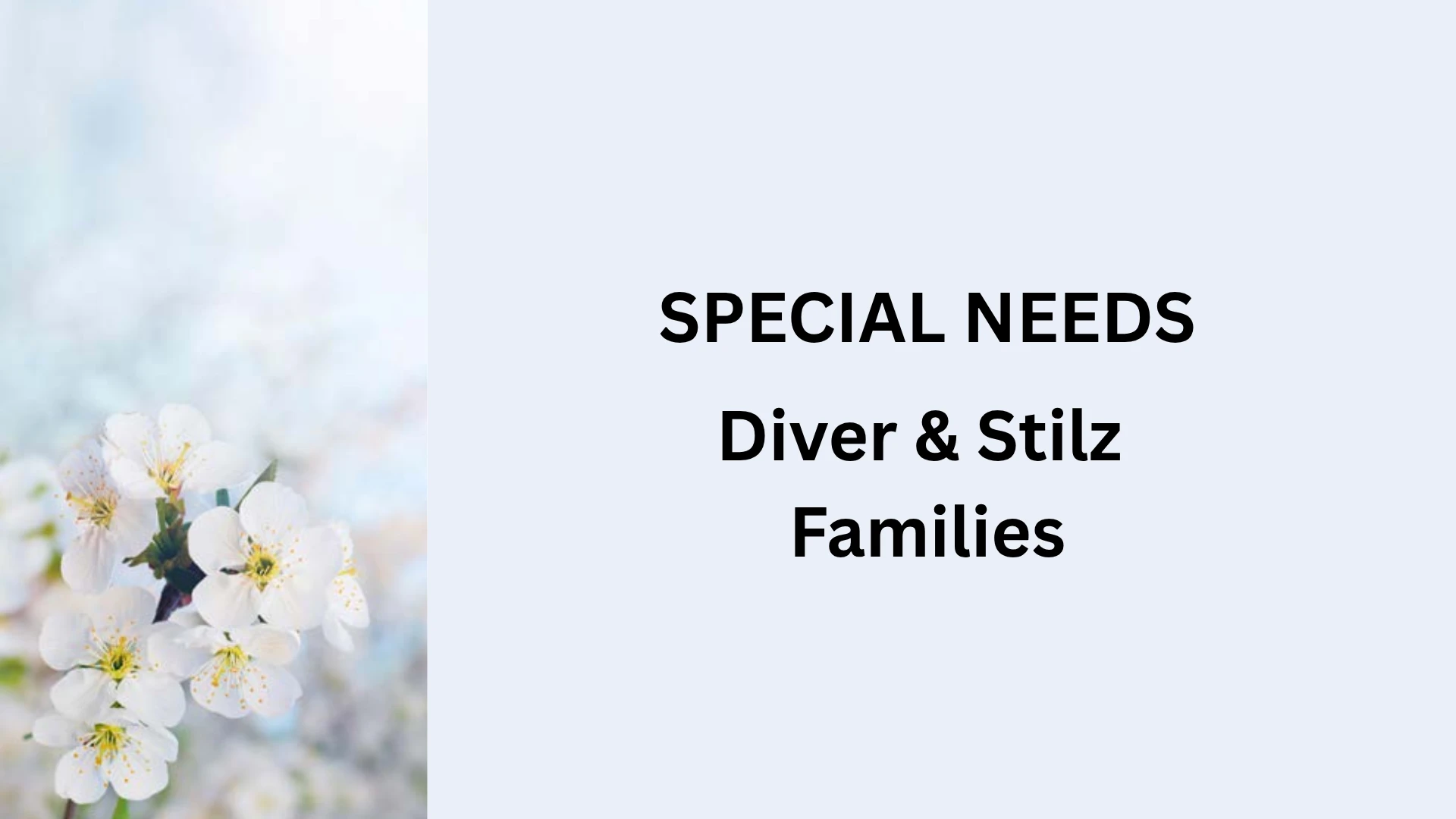 Special Needs