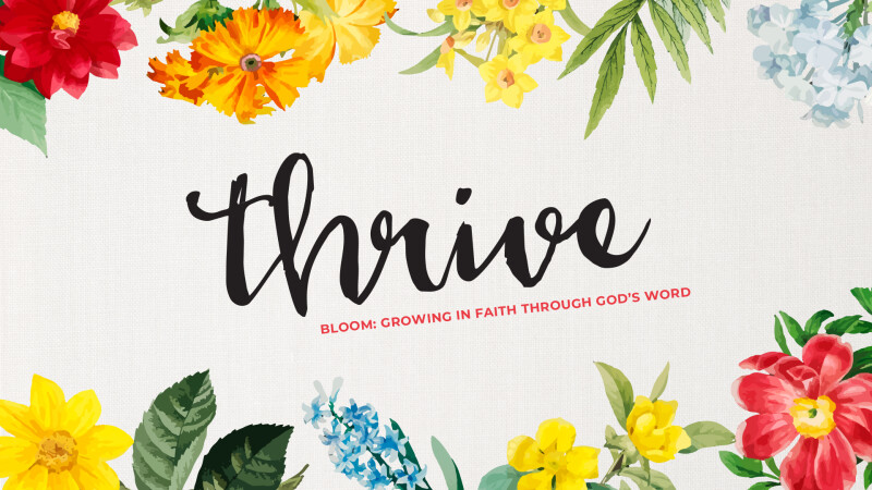 Women of Grace - Thrive Retreat
