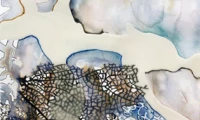 Meredith Barineau Gallery (11)