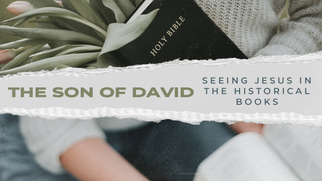 Women's Bible Study - The Son of David
