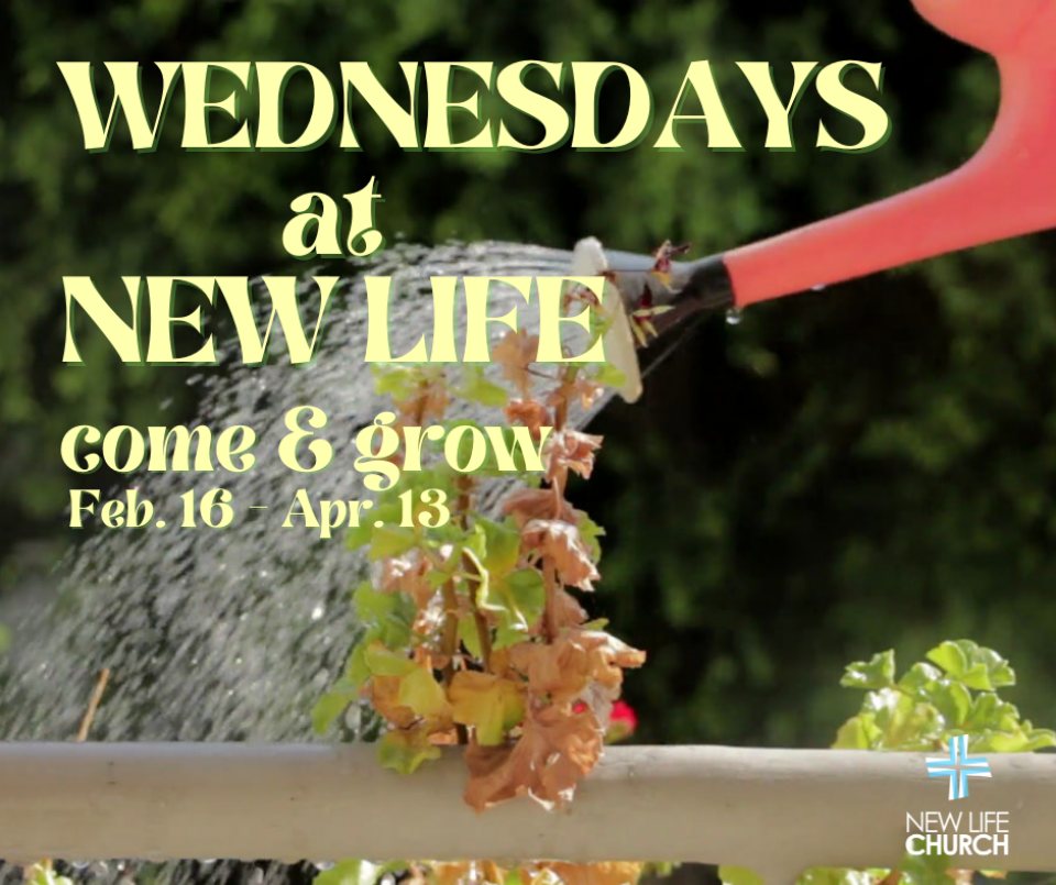 Wednesdays at NLC