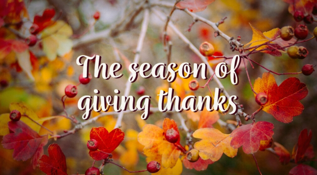 The Season of Giving Thanks