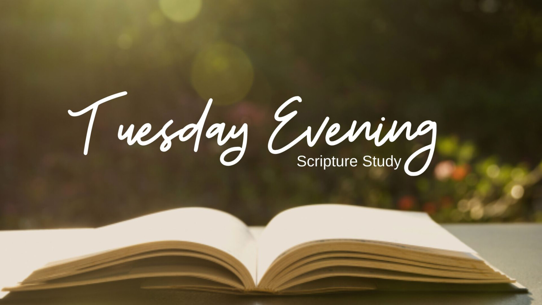 Tuesday Evening Scripture Study