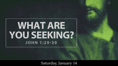 What are you Seeking? - Sat. Jan. 14, 2023