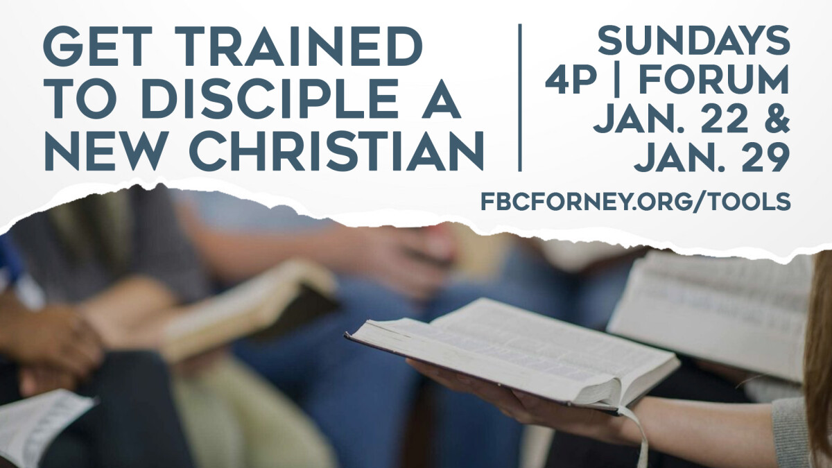 New Believer Discipleship Training