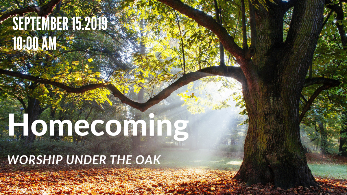 Homecoming - Worship Under the Oak