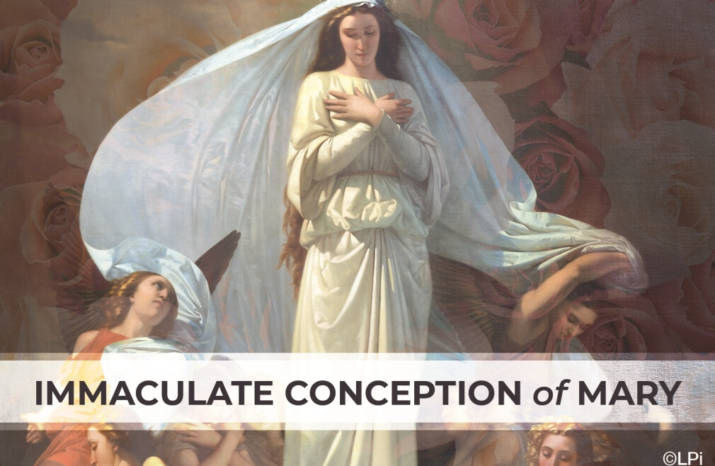 Solemnity of the Immaculate Conception 