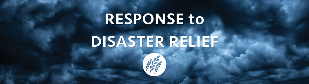 Disaster Response