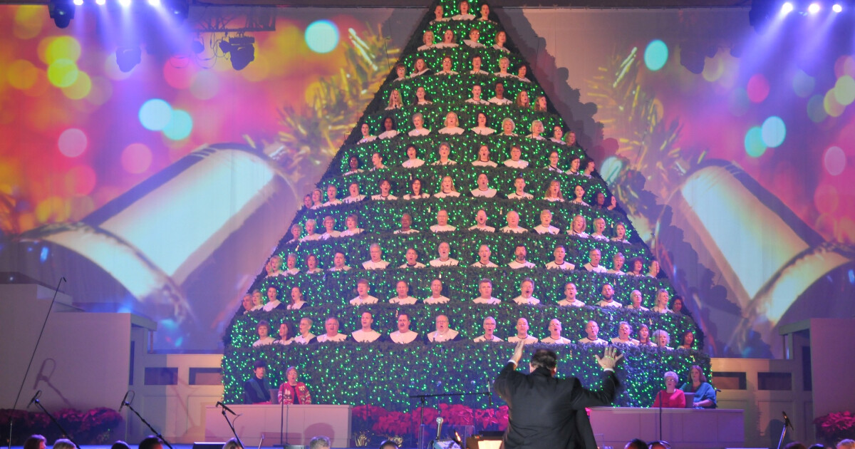 London, UK. 28th November, 2017. Es Devlin with her work - The Christmas  Tree (The Singing Tree) in the grand entrance of the V&A kicks off its  Sounds Like Christmas season. The