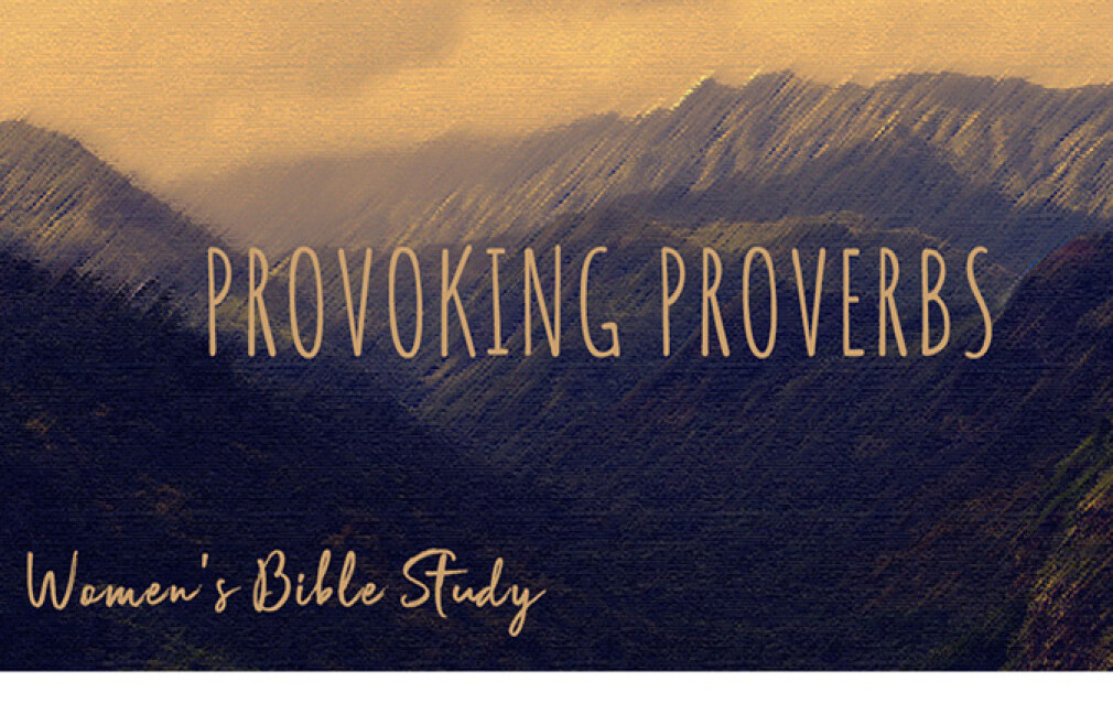 The Quenched (by His Word) Women’s Bible Study: Provoking Proverbs