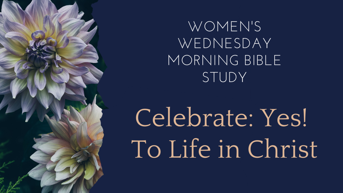 Women's Morning Bible Study