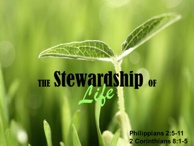 The Stewardship of Life