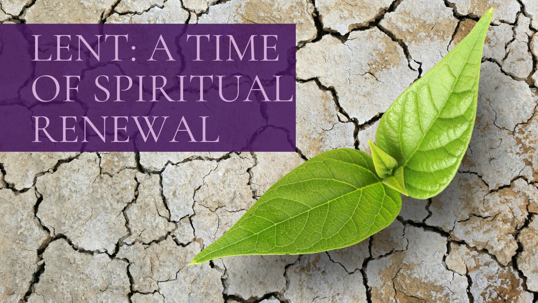 Lent: A Time of Spiritual Renewal 