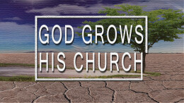 God Grows His Church