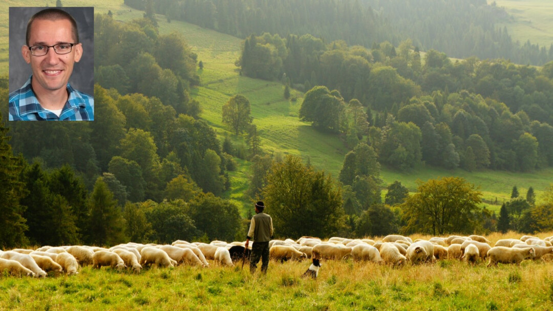 Life Under the Good Shepherd