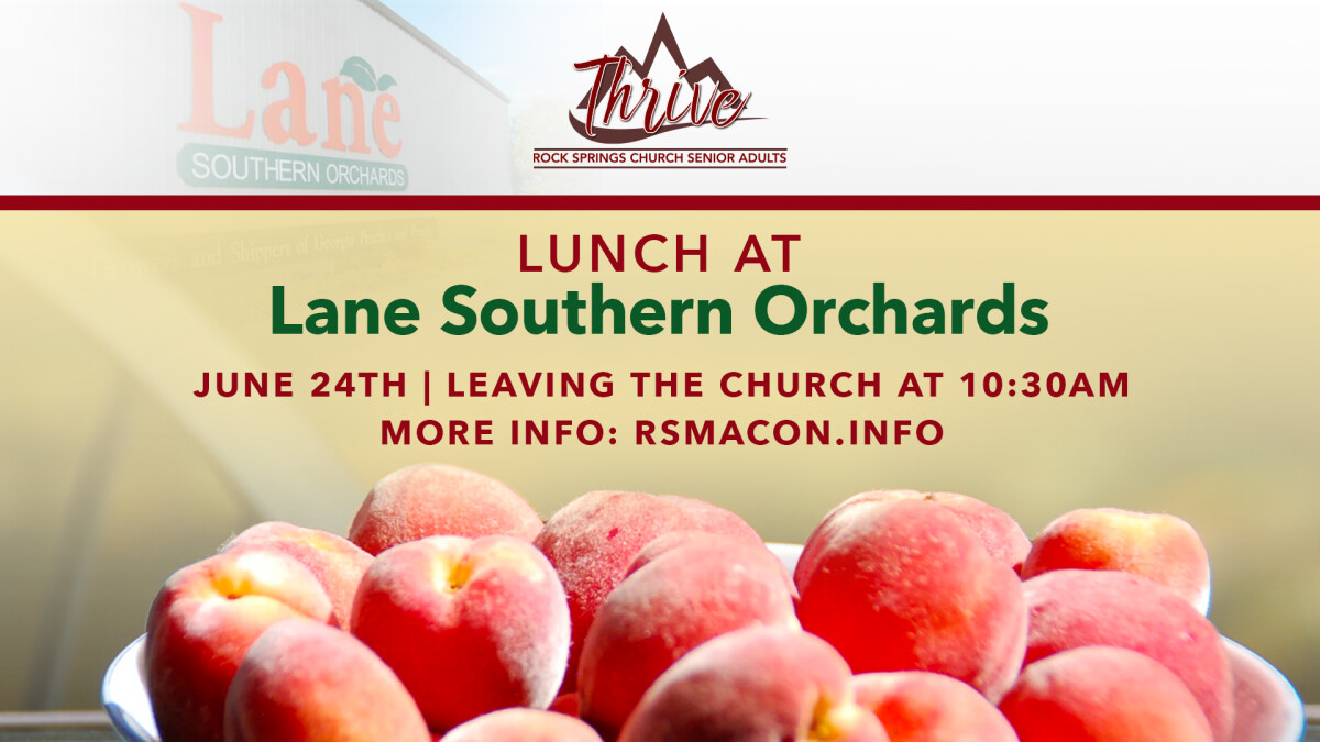 Macon Thrive Lunch at Lane Southern Orchards